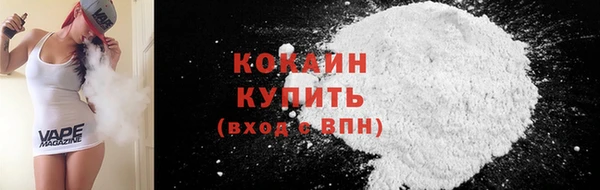 молекула духа Няндома