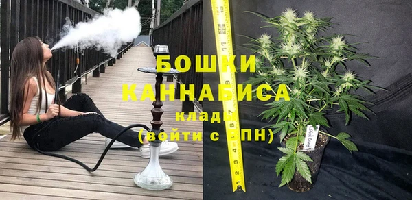 молекула духа Няндома