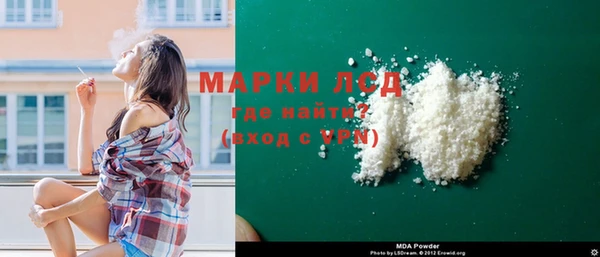молекула духа Няндома