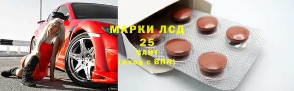 молекула духа Няндома