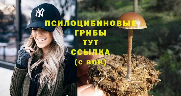 стафф Нязепетровск