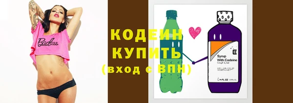 молекула духа Няндома
