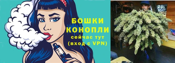 молекула духа Няндома