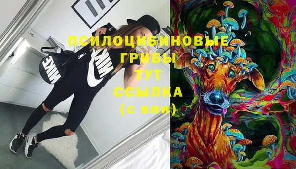 бошки Новодвинск