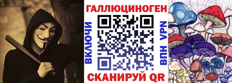 hydra ТОР Кувандык Псилоцибиновые грибы GOLDEN TEACHER