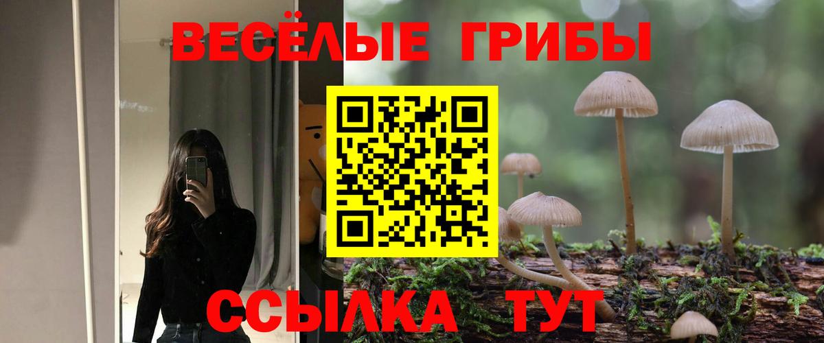 Кувандык  закладка  Галлюциногенные грибы прущие грибы  Вход с VPN  Галлюциногенные грибы Psilocybe 